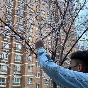 日本sm虐乳折磨奶头视频
